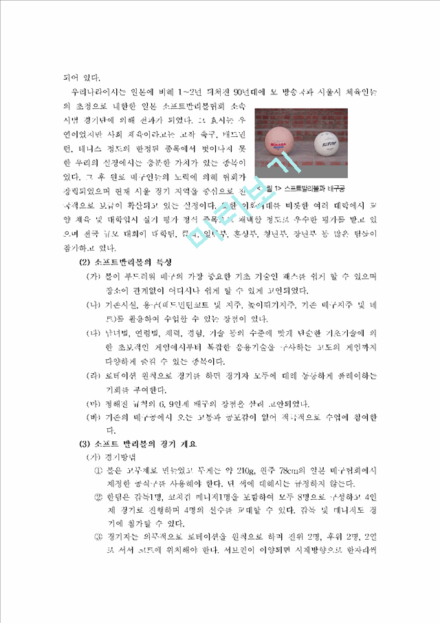 [사회과학] 체육수업 - 뉴스포츠 종목을 통한 체육교육.hwp